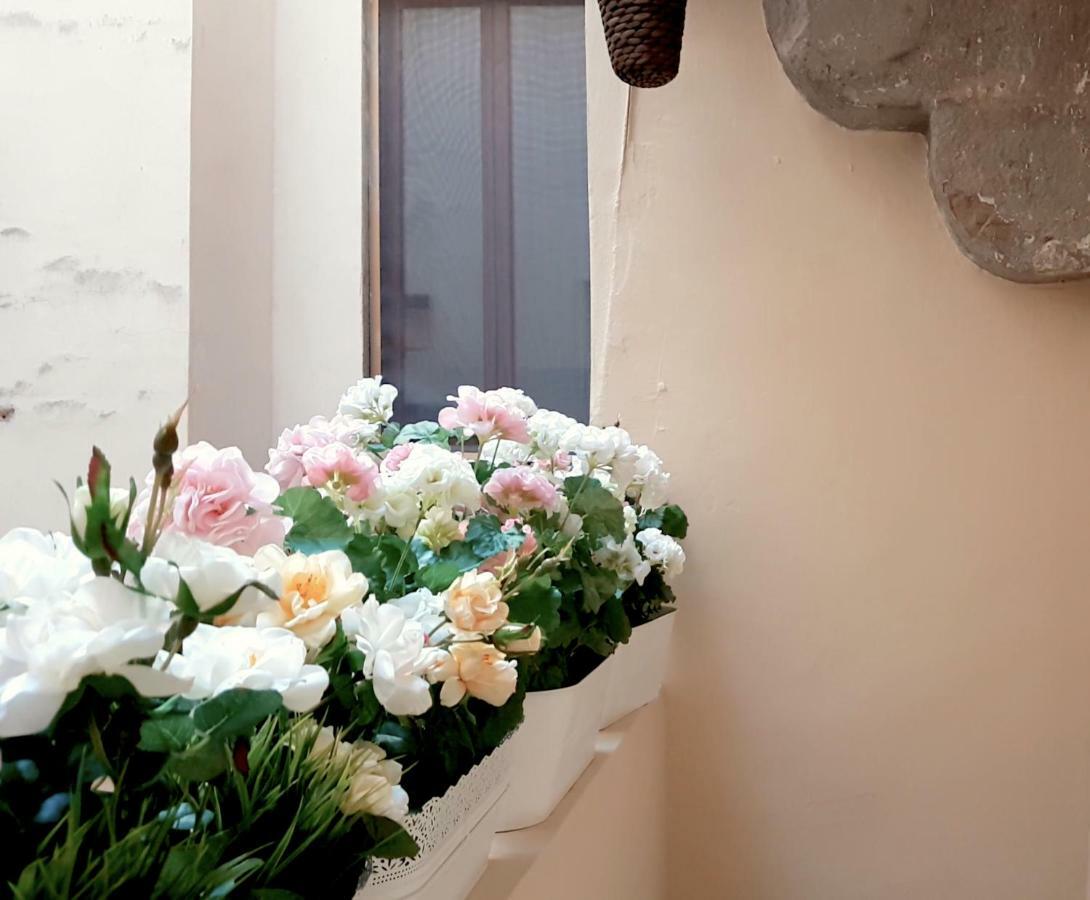 Velvet Loft - Santo Spirito Apartment Florence Exterior photo